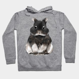 Bobby Netherland Dwarf Rabbit Watercolor Design Hoodie